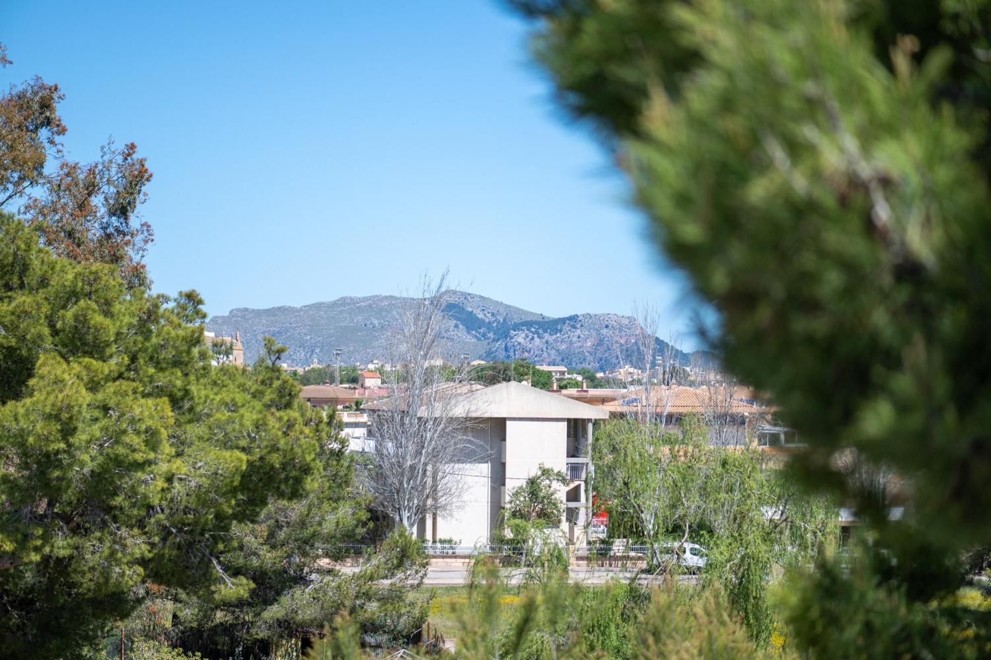 Apartamento Minerva Alcudia  Dış mekan fotoğraf